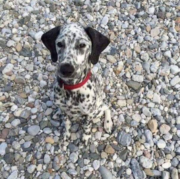 Daily Picdump [WEEKEND EDITION]