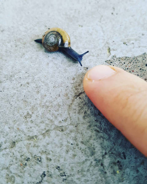 daily picdump 80 pics 25.html - 80 HD Photos | Premium Gallery 2017