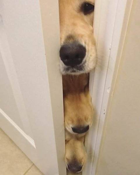 daily picdump 80 pics 25.html - 80 HD Photos | Premium Gallery 2017