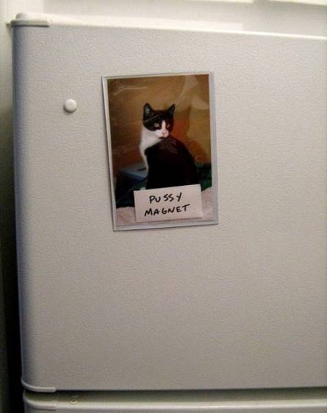 daily picdump 80 pics 25.html - 80 HD Photos | Premium Gallery 2017