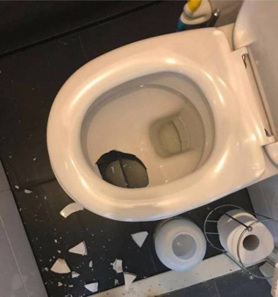 daily picdump 80 pics 25.html - 80 HD Photos | Premium Gallery 2017