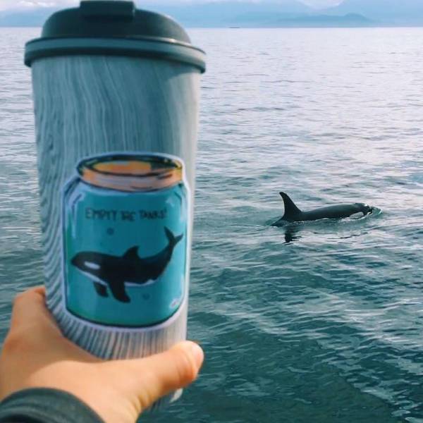 daily picdump 80 pics 25.html - 80 HD Photos | Premium Gallery 2017