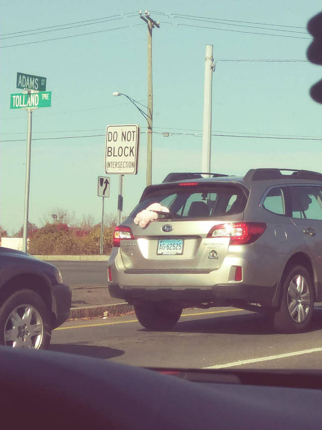 daily picdump 80 pics 25.html - 80 HD Photos | Premium Gallery 2017