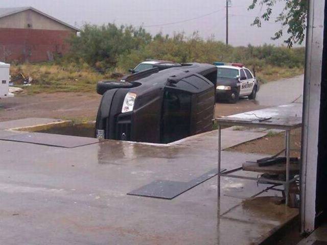 daily picdump 81 pics 32.html - 81 HD Photos | Premium Gallery 2017