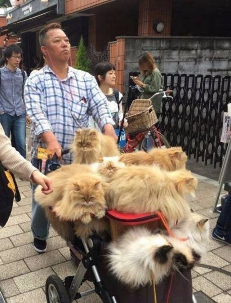 morning picdump 51 pics 20.html - 51 HD Photos | Premium Gallery 2017