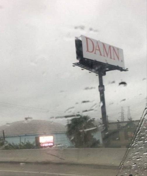 morning picdump 51 pics 20.html - 51 HD Photos | Premium Gallery 2017