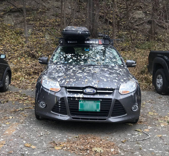 morning picdump 51 pics 20.html - 51 HD Photos | Premium Gallery 2017