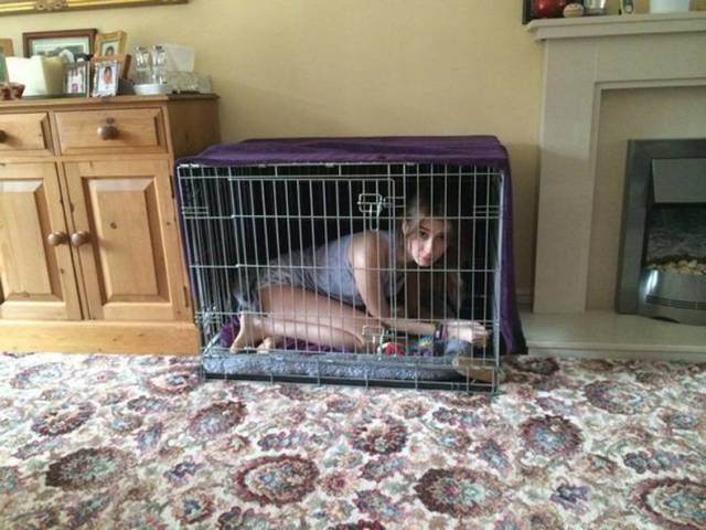 daily picdump 80 pics 18.html - 80 HD Photos | Premium Gallery 2017