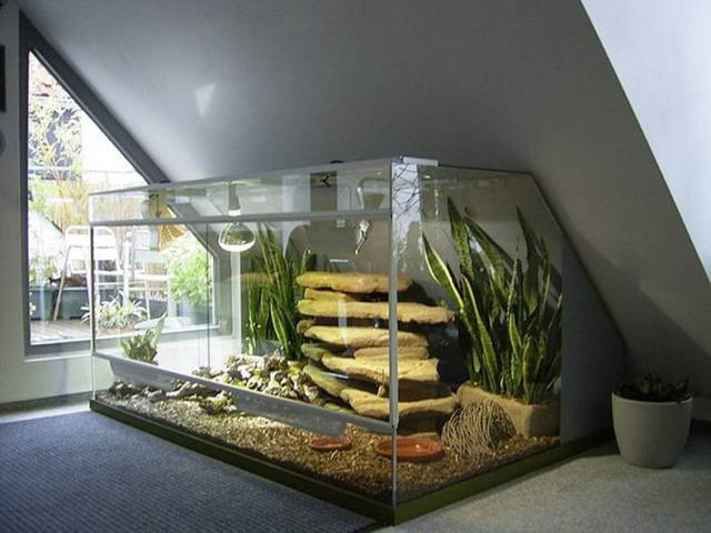 daily picdump 80 pics 18.html - 80 HD Photos | Premium Gallery 2017