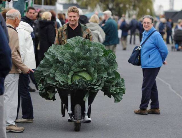 daily picdump 80 pics 18.html - 80 HD Photos | Premium Gallery 2017