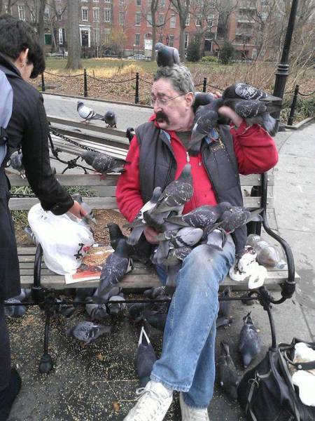 daily picdump 80 pics 18.html - 80 HD Photos | Premium Gallery 2017