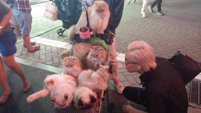 daily picdump 80 pics 18.html - 80 HD Photos | Premium Gallery 2017