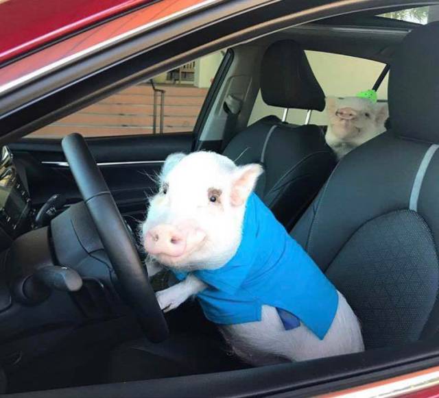 daily picdump 80 pics 18.html - 80 HD Photos | Premium Gallery 2017