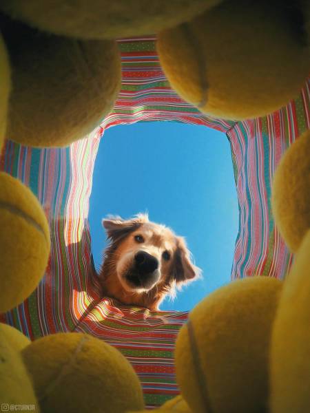 morning picdump 50 pics 17.html - 50 HD Photos | Premium Gallery 2017