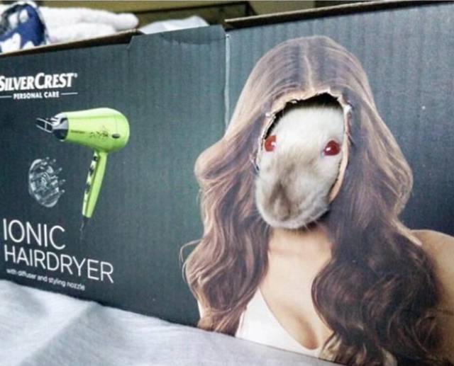 morning picdump 50 pics 17.html - 50 HD Photos | Premium Gallery 2017