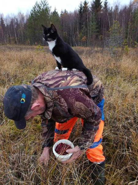 morning picdump 50 pics 17.html - 50 HD Photos | Premium Gallery 2017