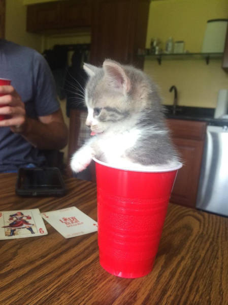 daily picdump 80 pics 14.html - 80 HD Photos | Premium Gallery 2017