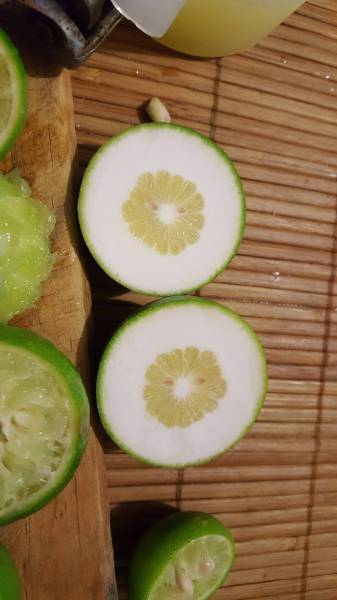 daily picdump 80 pics 14.html - 80 HD Photos | Premium Gallery 2017