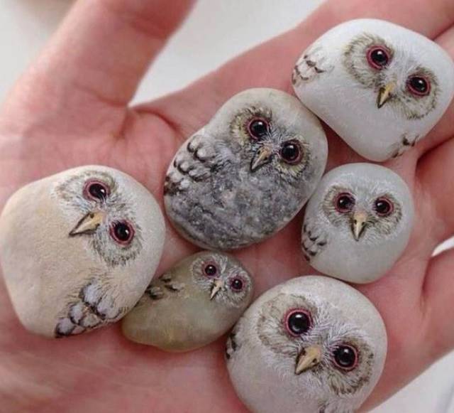 morning picdump 50 pics 17.html - 50 HD Photos | Premium Gallery 2017