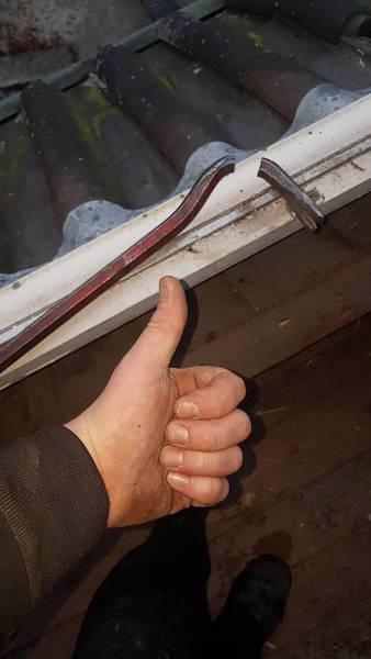 morning picdump 50 pics 17.html - 50 HD Photos | Premium Gallery 2017