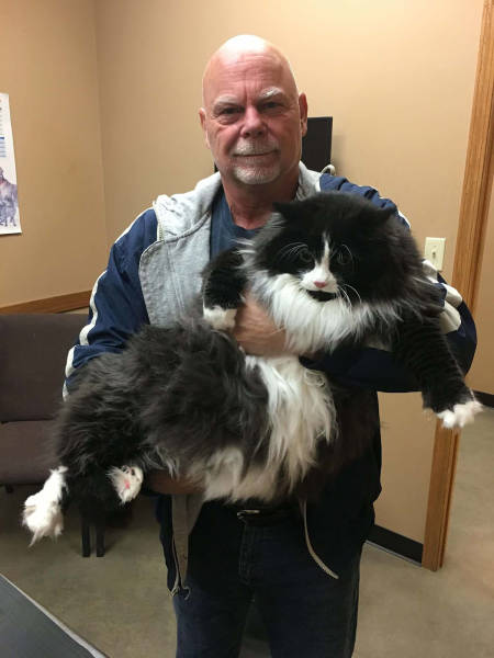 morning picdump 50 pics 17.html - 50 HD Photos | Premium Gallery 2017