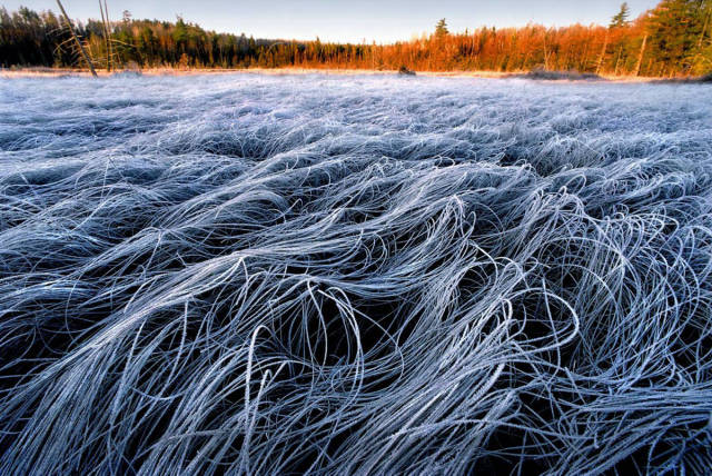 morning picdump 50 pics 17.html - 50 HD Photos | Premium Gallery 2017