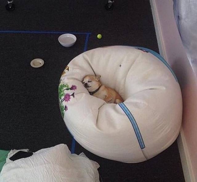 Comfort Is What We All Need