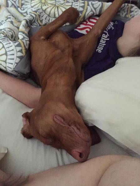 Comfort Is What We All Need