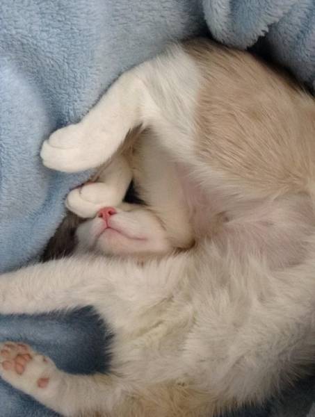 Comfort Is What We All Need