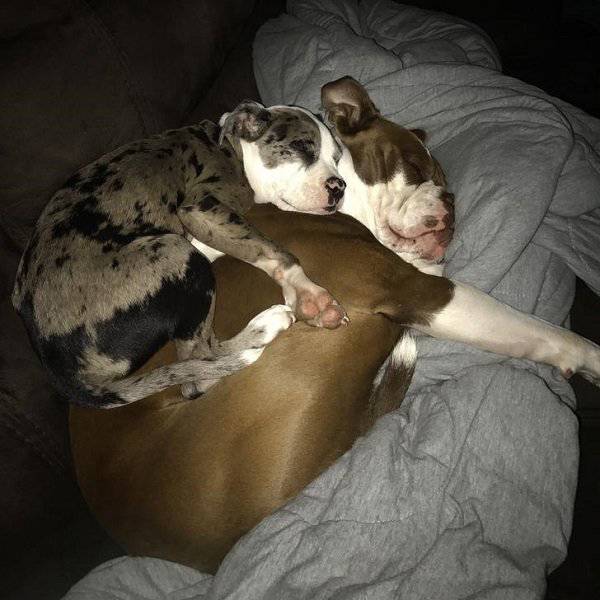 Comfort Is What We All Need