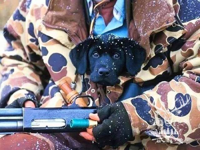 daily picdump 83 pics 2.html - 83 HD Photos | Premium Gallery 2017