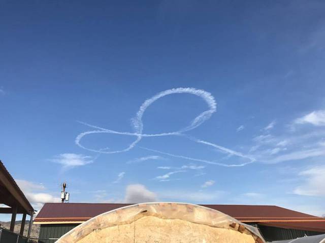 daily picdump 83 pics 2.html - 83 HD Photos | Premium Gallery 2017