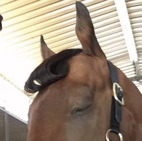 daily picdump 83 pics 2.html - 83 HD Photos | Premium Gallery 2017