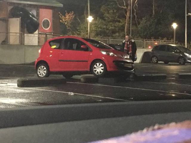 daily picdump 83 pics 2.html - 83 HD Photos | Premium Gallery 2017