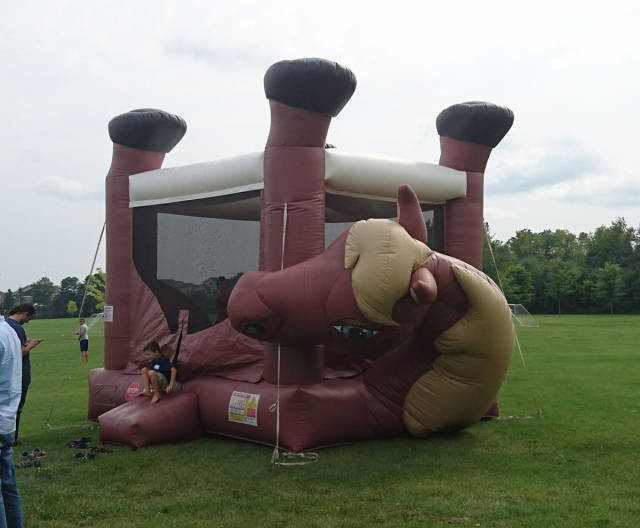 daily picdump 83 pics 2.html - 83 HD Photos | Premium Gallery 2017