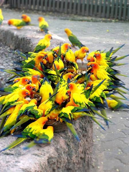 daily picdump 83 pics 2.html - 83 HD Photos | Premium Gallery 2017