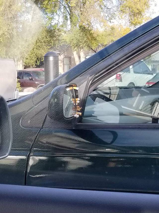 daily picdump 83 pics 2.html - 83 HD Photos | Premium Gallery 2017