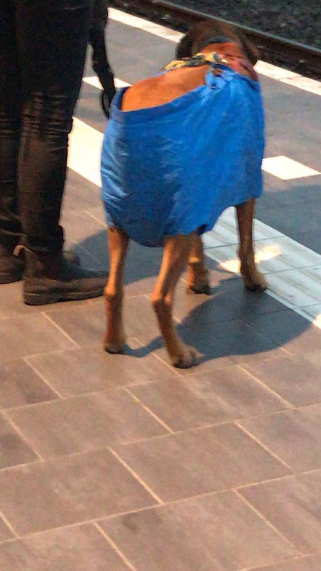 daily picdump 83 pics 2.html - 83 HD Photos | Premium Gallery 2017