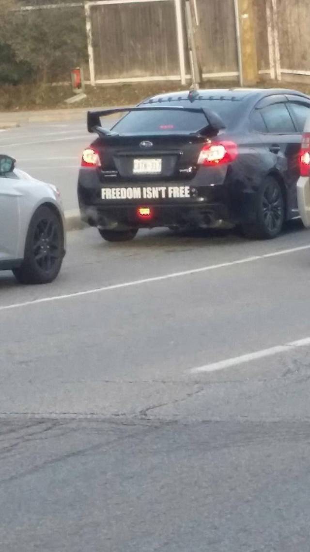 daily picdump 83 pics 2.html - 83 HD Photos | Premium Gallery 2017