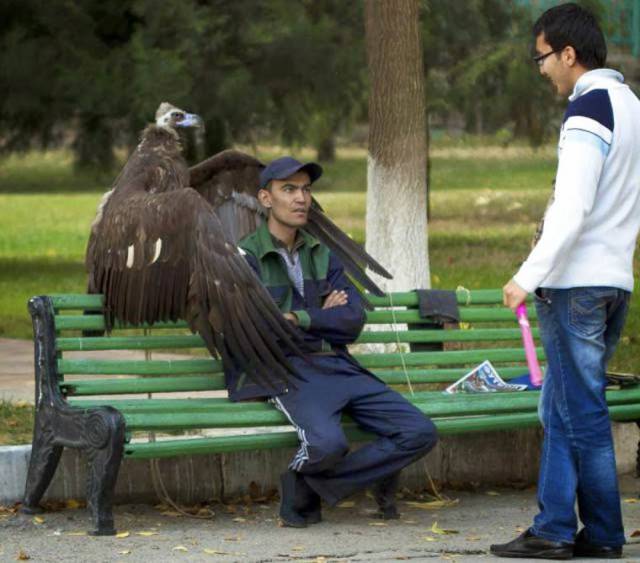 morning picdump 51 pics 17.html - 51 HD Photos | Premium Gallery 2017