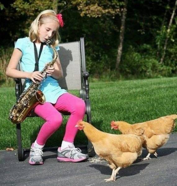 morning picdump 51 pics 17.html - 51 HD Photos | Premium Gallery 2017