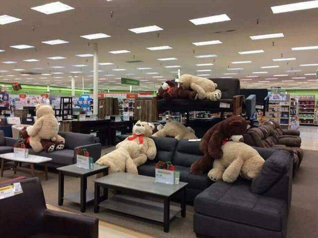 morning picdump 51 pics 17.html - 51 HD Photos | Premium Gallery 2017