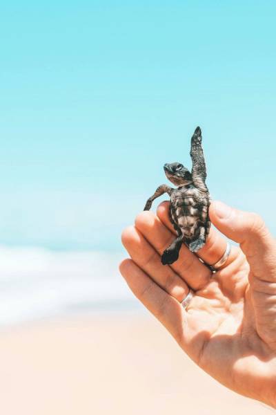 Daily Picdump [WEEKEND EDITION]