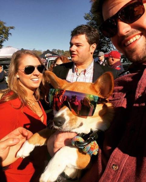 Daily Picdump [WEEKEND EDITION]