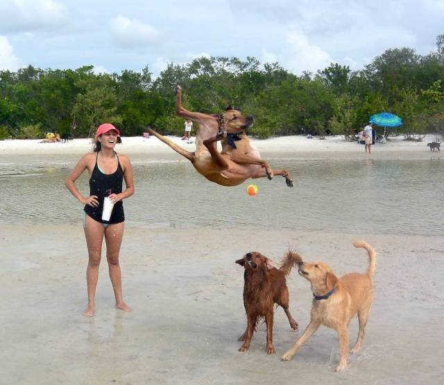 Daily Picdump [WEEKEND EDITION]