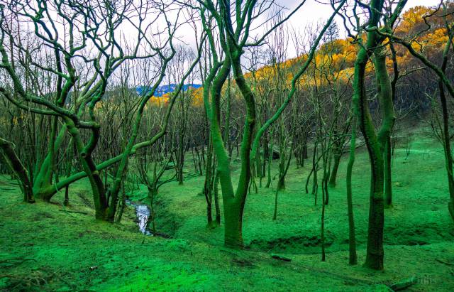 Daily Picdump [WEEKEND EDITION]