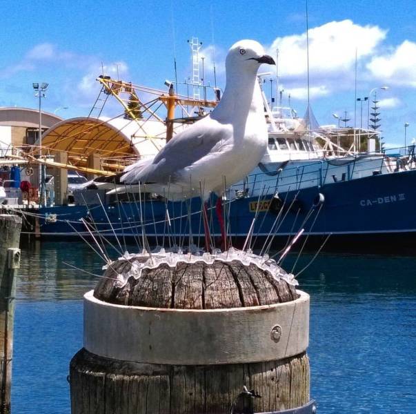 daily picdump 104 pics 44.html - 104 HD Photos | Premium Gallery 2017