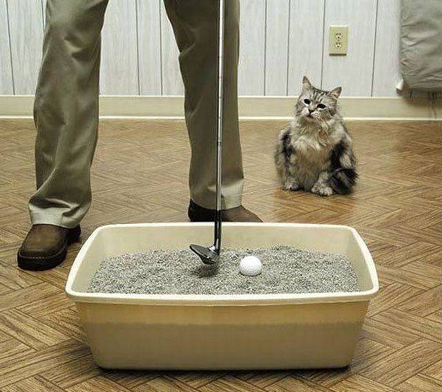 daily picdump 104 pics 44.html - 104 HD Photos | Premium Gallery 2017