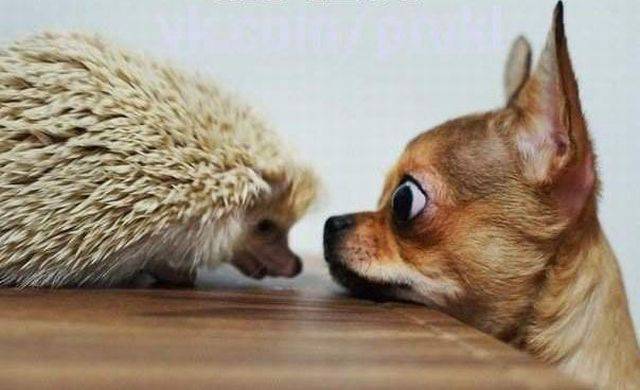 daily picdump 97 pics 24.html - 97 HD Photos | Premium Gallery 2017