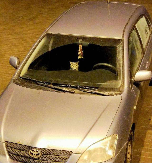 daily picdump 97 pics 24.html - 97 HD Photos | Premium Gallery 2017